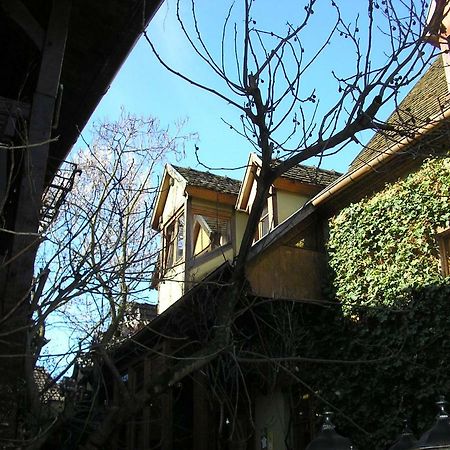 Gite Le Riesling Bergheim Exteriör bild